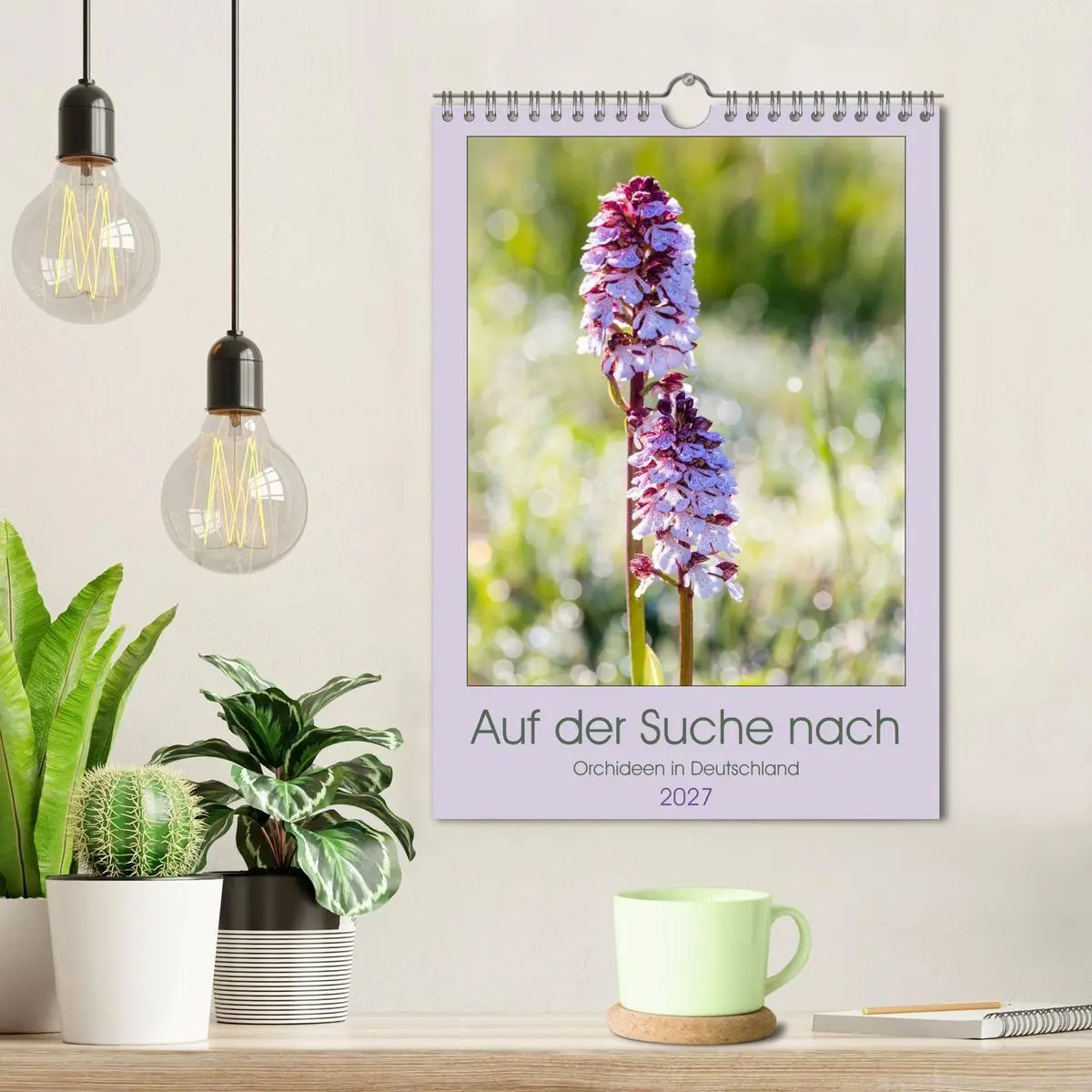 Bild: 9783569563049 | Auf der Suche nach Orchideen in Deutschland (Wandkalender 2027 DIN...