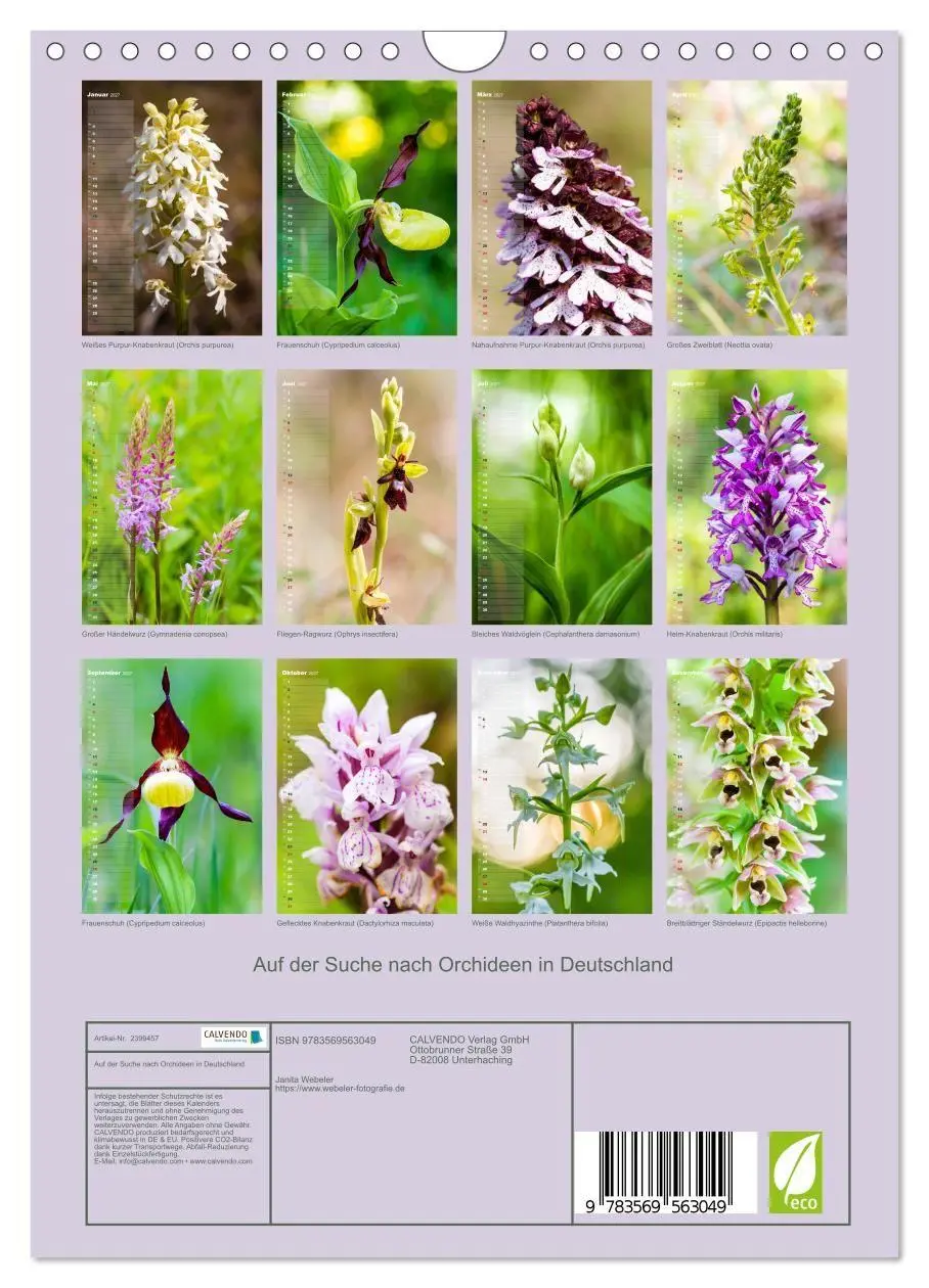 Bild: 9783569563049 | Auf der Suche nach Orchideen in Deutschland (Wandkalender 2027 DIN...