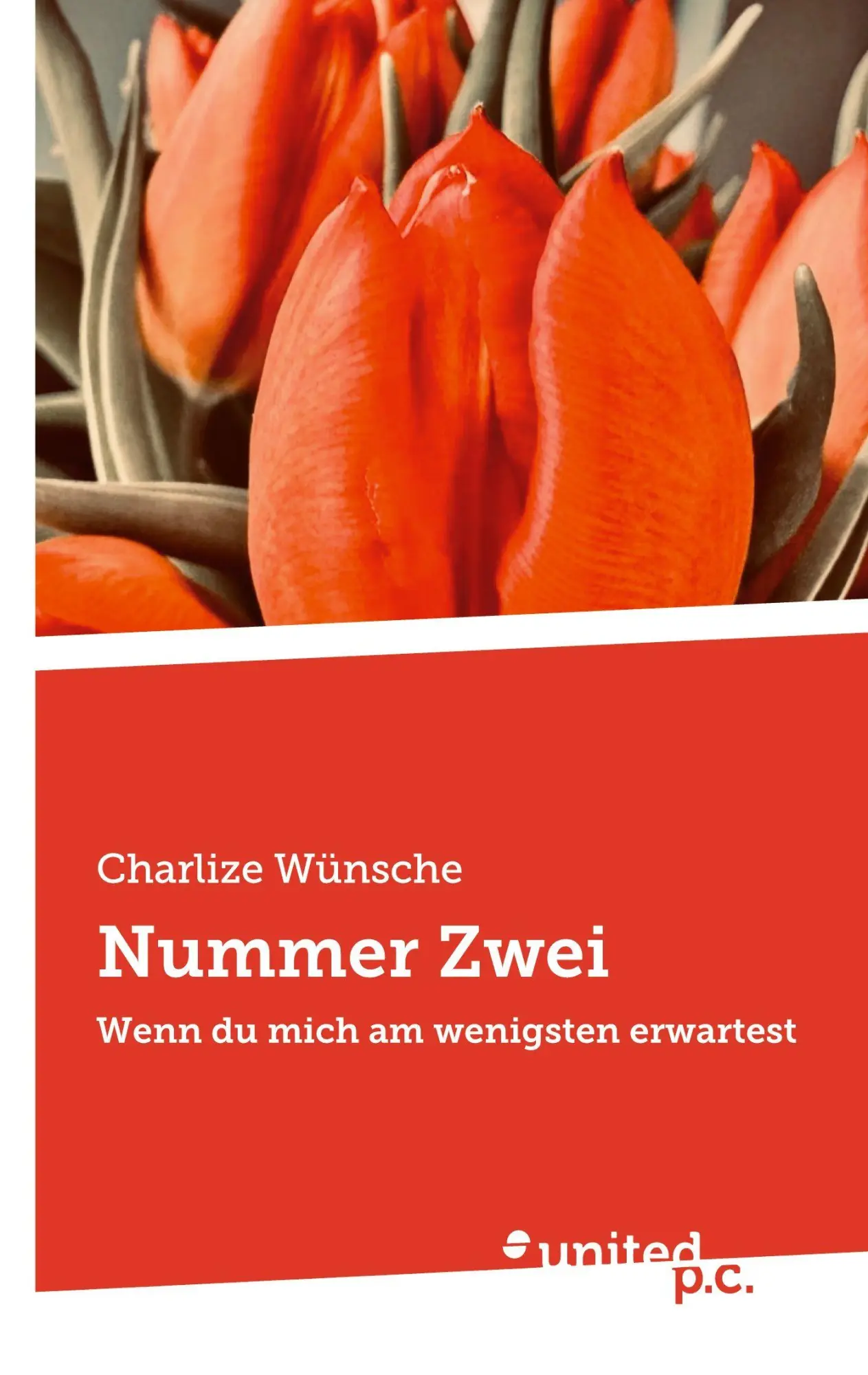 Cover: 9783710343049 | Nummer Zwei | Wenn du mich am wenigsten erwartest | Charlize Wünsche
