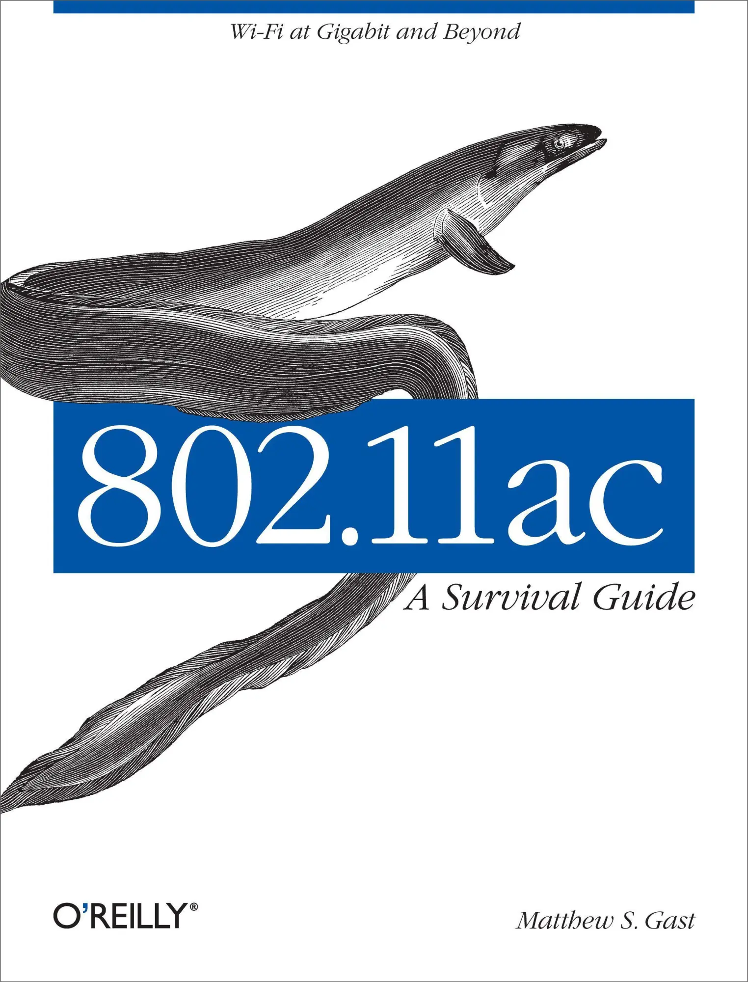 Cover: 9781449343149 | 802.11ac: A Survival Guide | Wi-Fi at Gigabit and Beyond | Gast | Buch