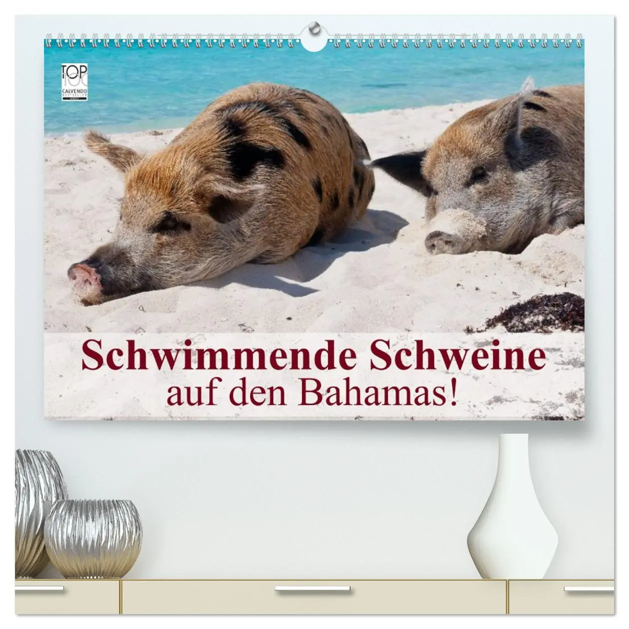 Cover: 9783516223149 | Schwimmende Schweine auf den Bahamas! (hochwertiger Premium...