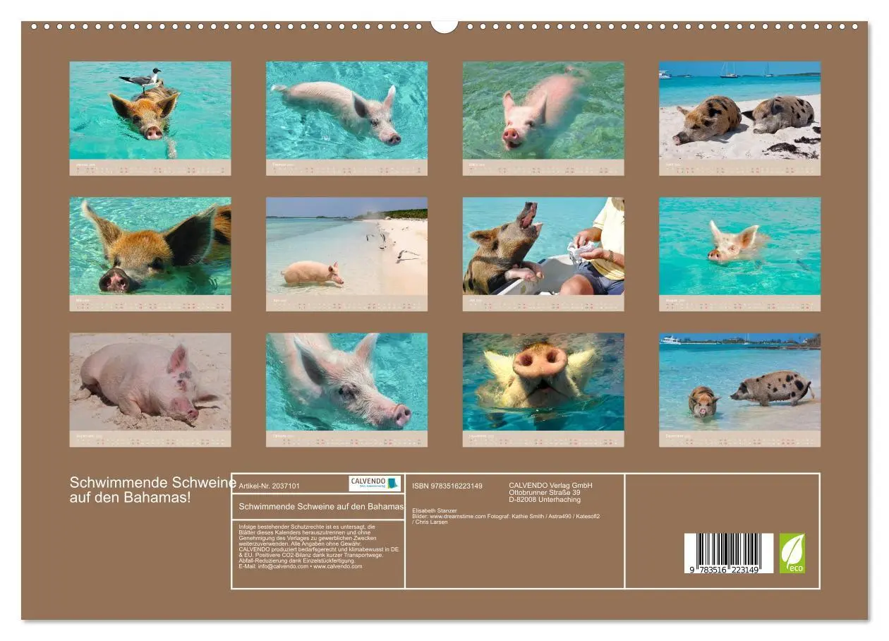 Bild: 9783516223149 | Schwimmende Schweine auf den Bahamas! (hochwertiger Premium...
