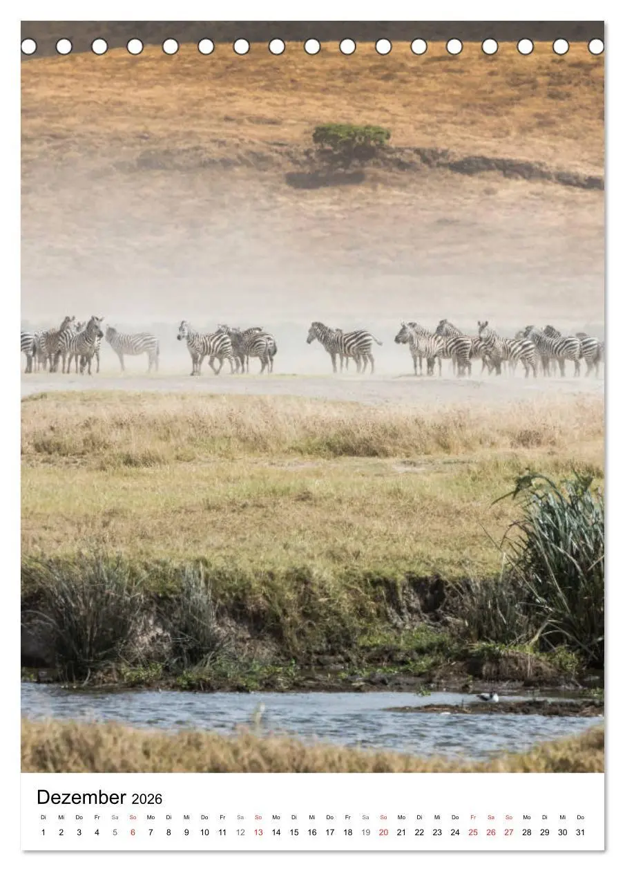 Bild: 9783516383249 | Serengeti Pur - Tansania (Tischkalender 2026 DIN A5 hoch), CALVENDO...