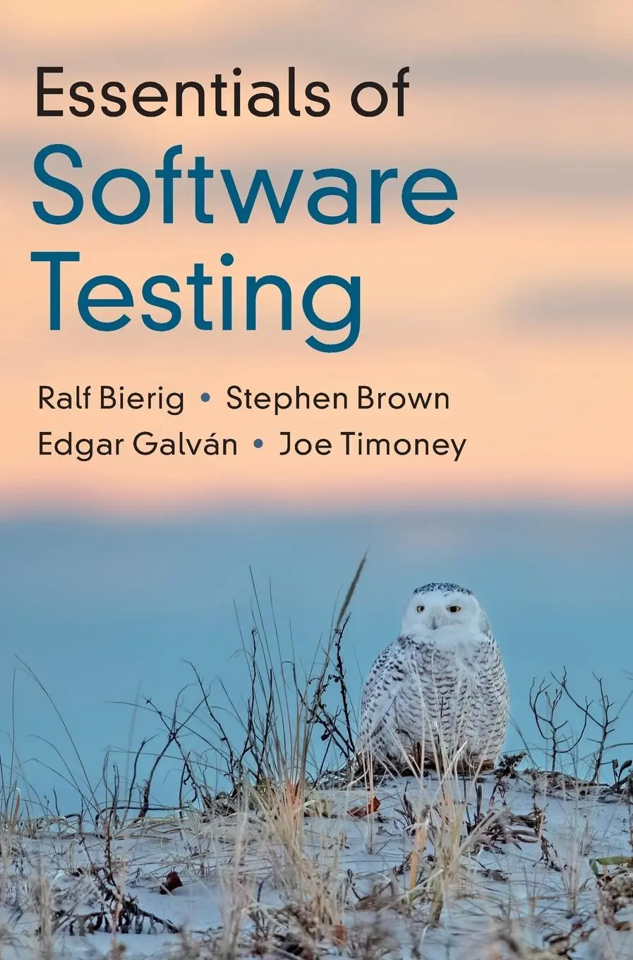 Cover: 9781108833349 | Essentials of Software Testing | Ralf Bierig (u. a.) | Buch | Gebunden