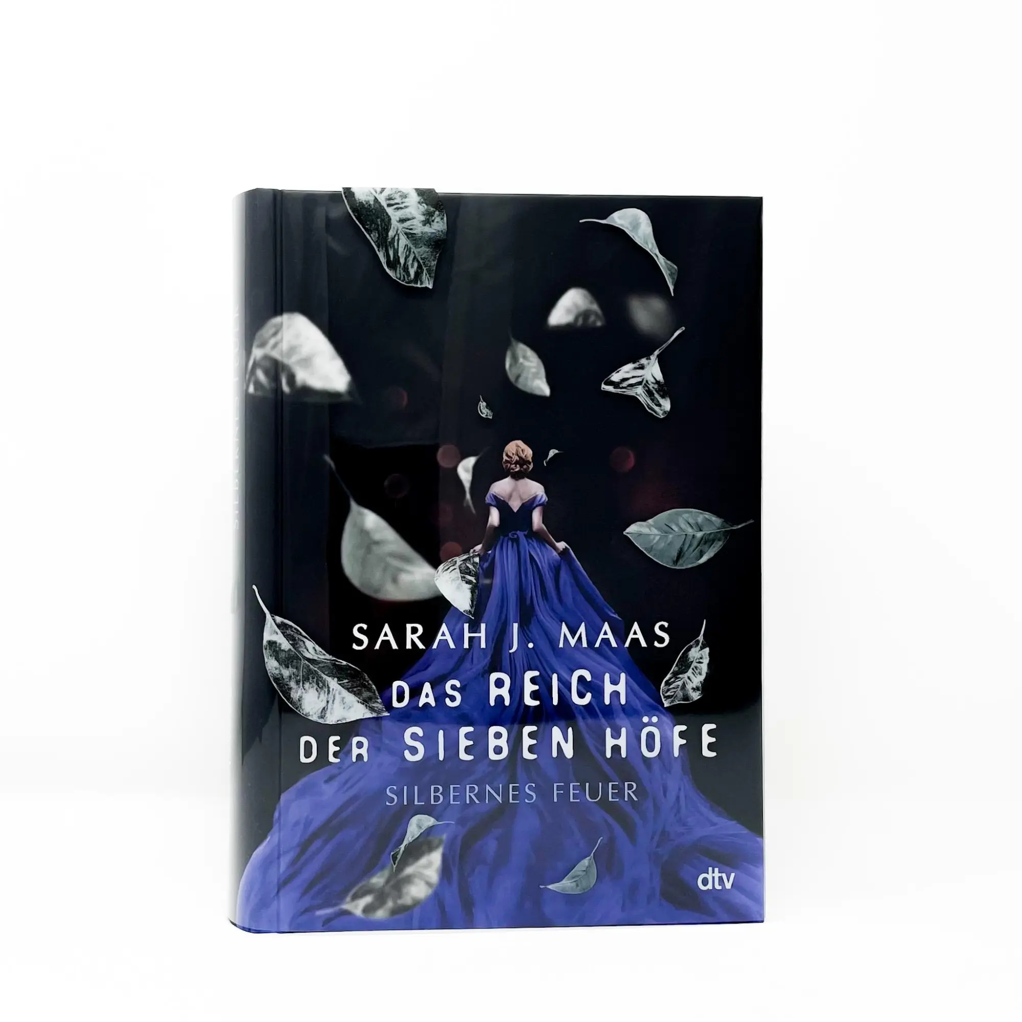 Bild: 9783423763349 | Das Reich der sieben Höfe - Silbernes Feuer | Sarah J. Maas | Buch