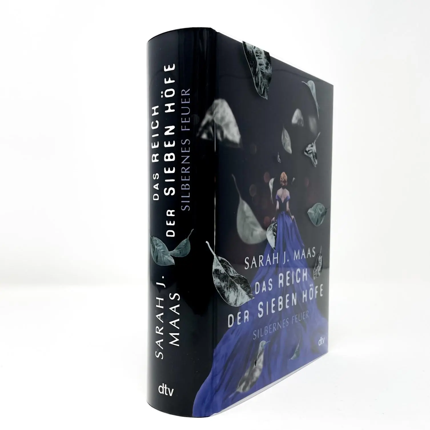 Bild: 9783423763349 | Das Reich der sieben Höfe - Silbernes Feuer | Sarah J. Maas | Buch