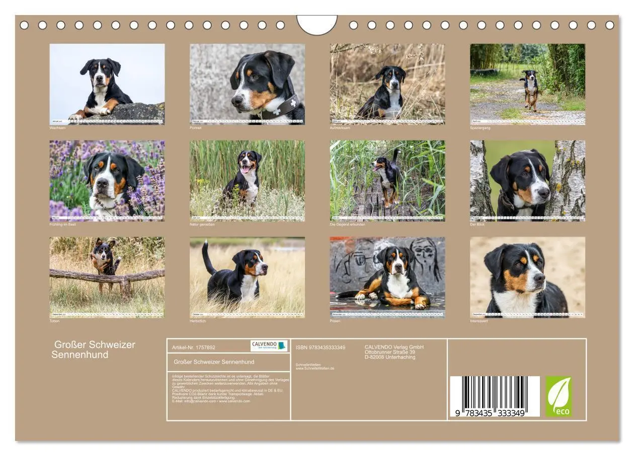 Bild: 9783435333349 | Großer Schweizer Sennenhund (Wandkalender 2025 DIN A4 quer),...
