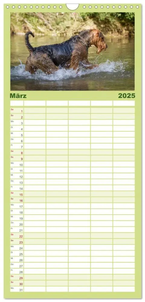 Bild: 9783457113349 | Familienplaner 2025 - Airedale-Terrier, was sonst! mit 5 Spalten...