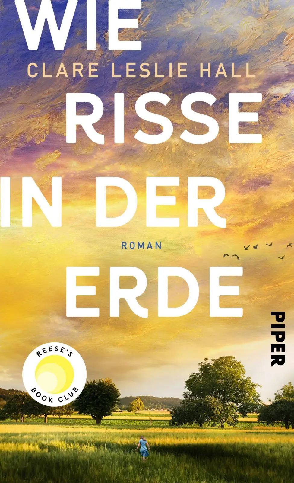 Cover: 9783492073349 | Wie Risse in der Erde | Clare Leslie Hall | Buch | 400 S. | Deutsch