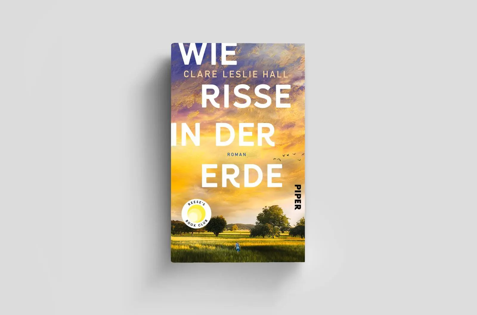 Bild: 9783492073349 | Wie Risse in der Erde | Clare Leslie Hall | Buch | 400 S. | Deutsch