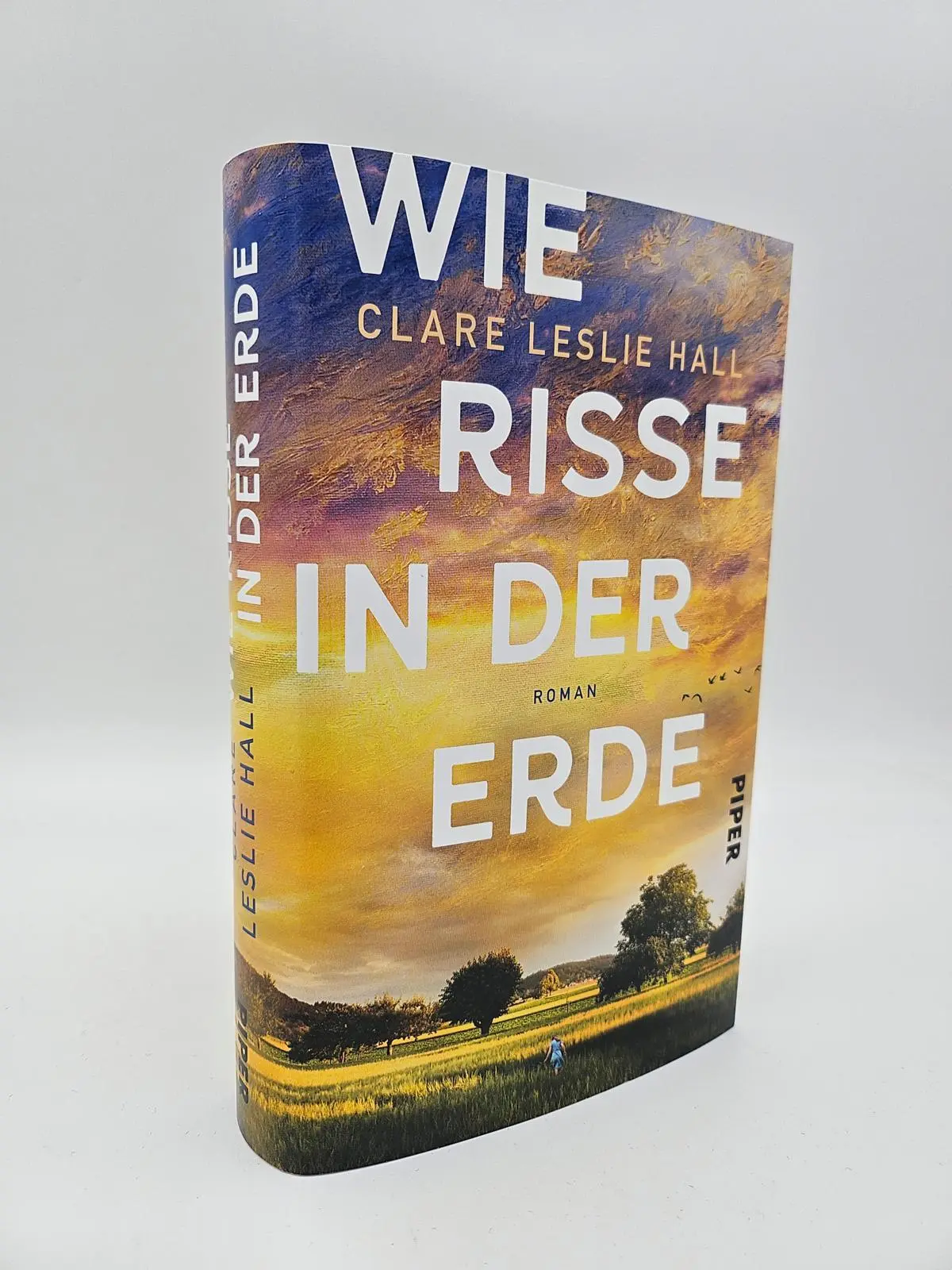 Bild: 9783492073349 | Wie Risse in der Erde | Clare Leslie Hall | Buch | 400 S. | Deutsch