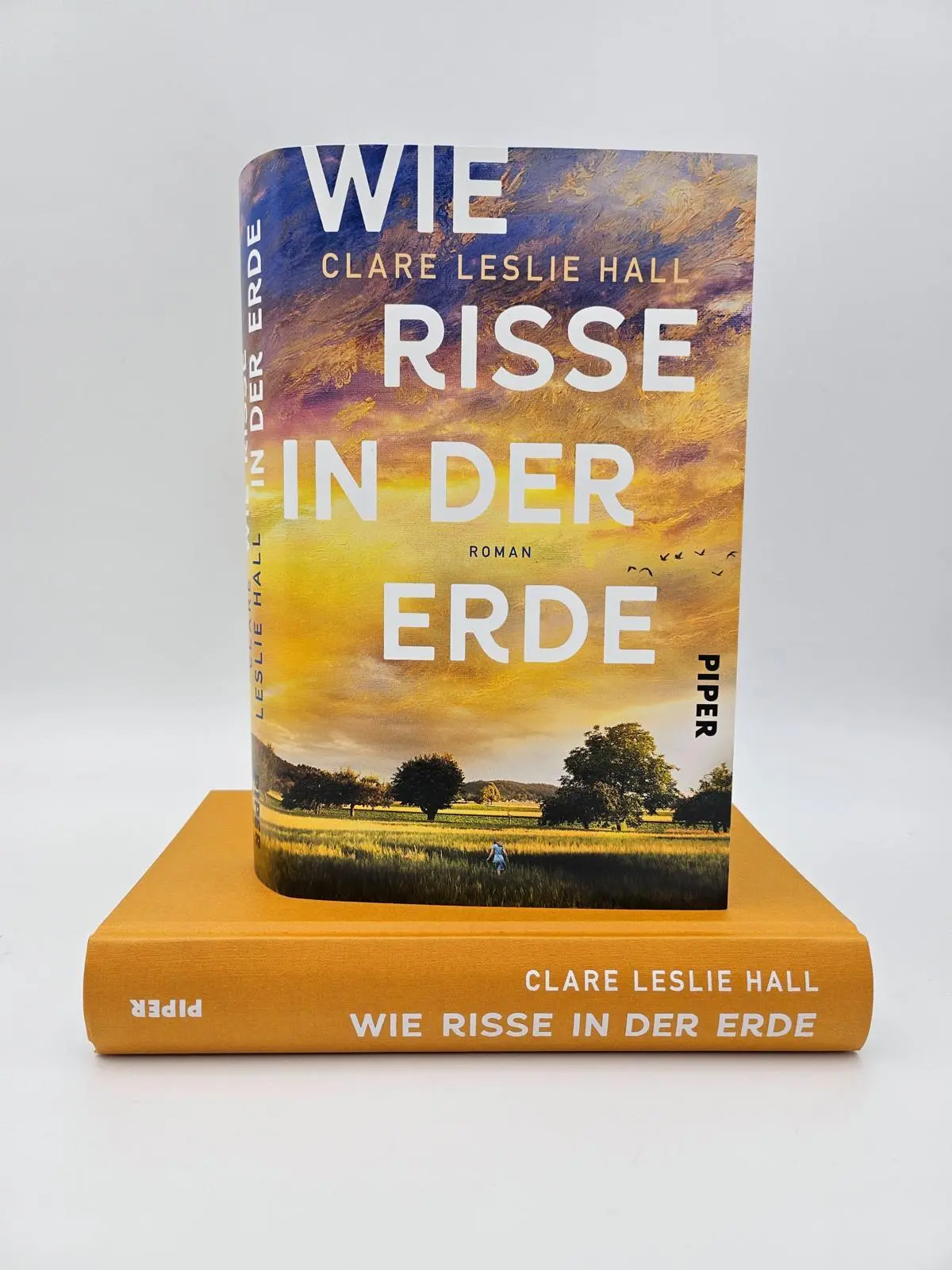 Bild: 9783492073349 | Wie Risse in der Erde | Clare Leslie Hall | Buch | 400 S. | Deutsch