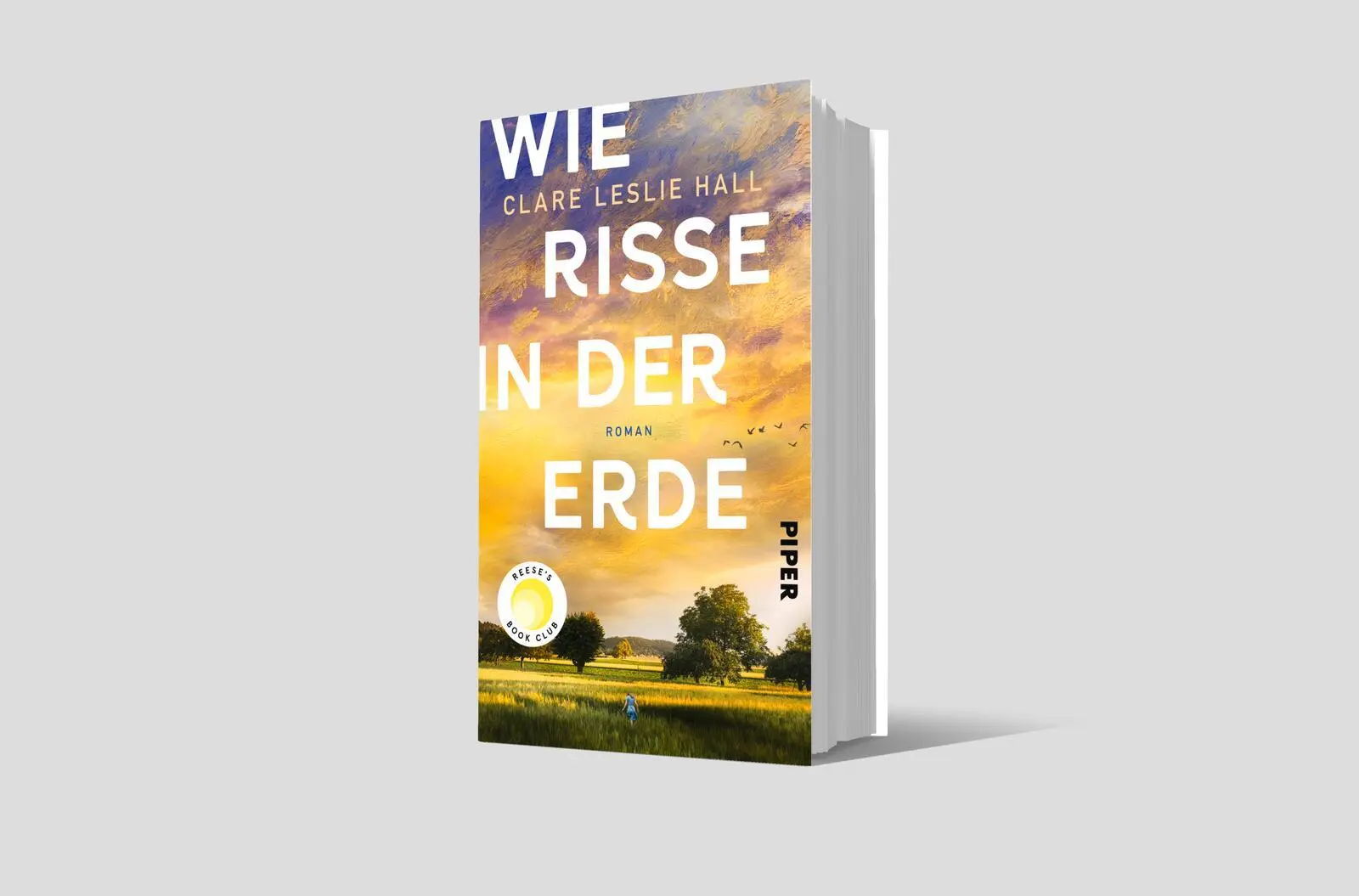 Bild: 9783492073349 | Wie Risse in der Erde | Clare Leslie Hall | Buch | 400 S. | Deutsch