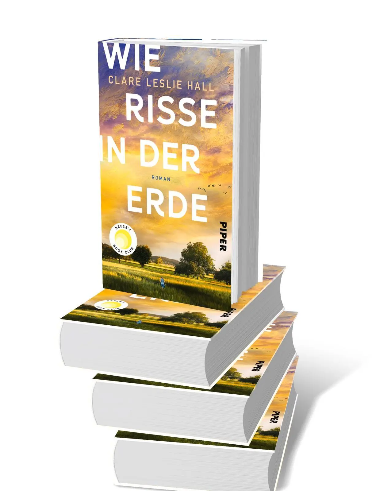 Bild: 9783492073349 | Wie Risse in der Erde | Clare Leslie Hall | Buch | 400 S. | Deutsch