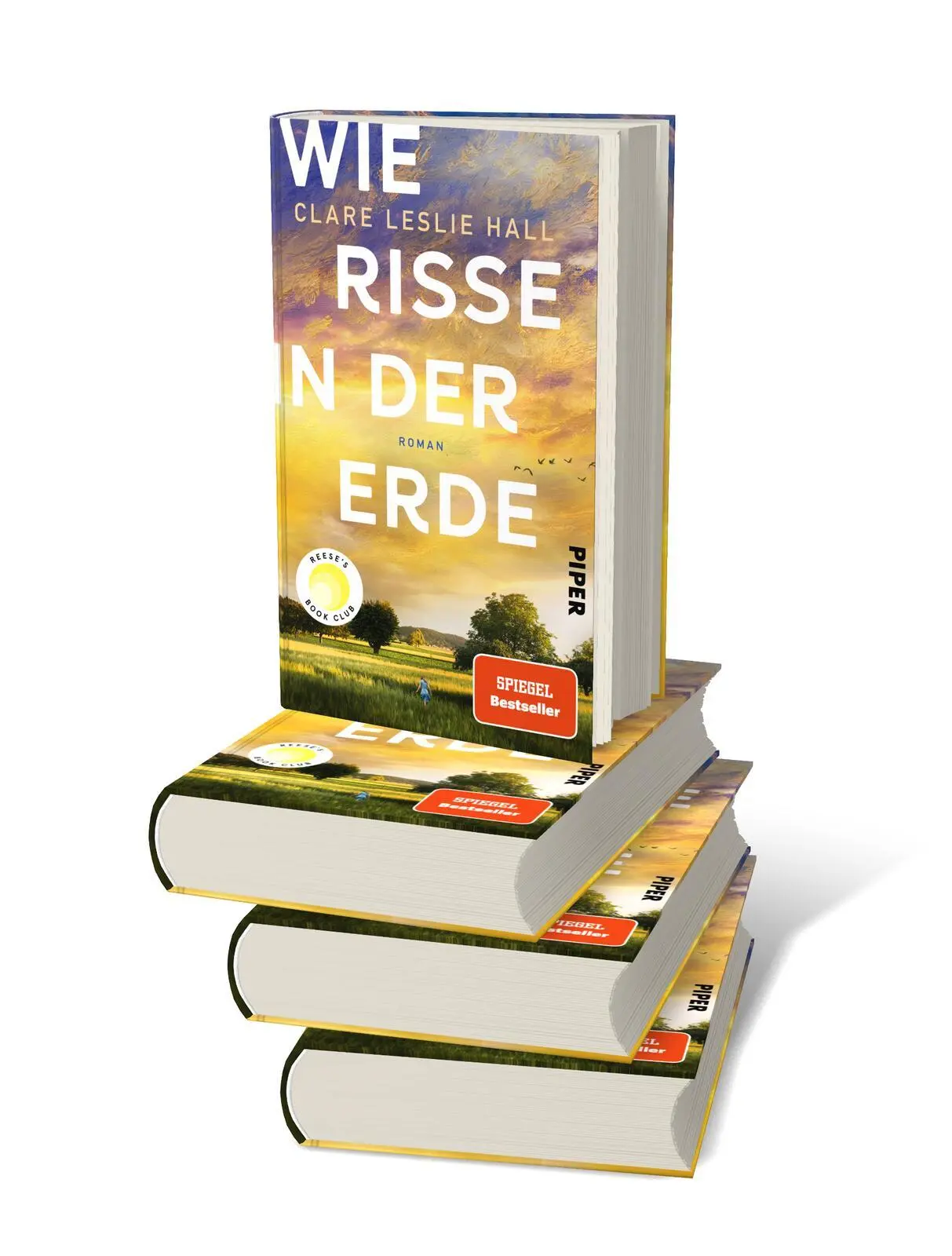 Bild: 9783492073349 | Wie Risse in der Erde | Clare Leslie Hall | Buch | 400 S. | Deutsch