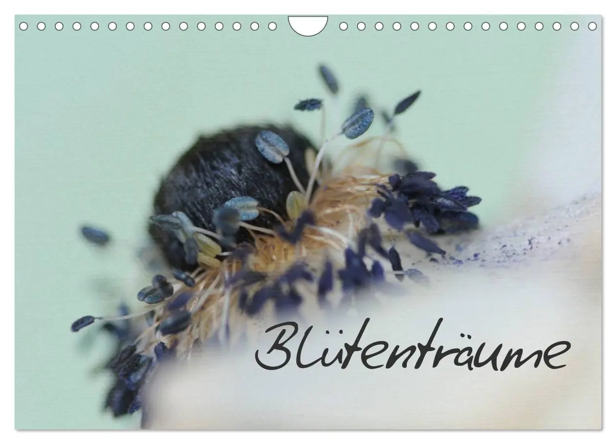 Cover: 9783516203349 | Blütenträume (Wandkalender 2026 DIN A4 quer), CALVENDO Monatskalender