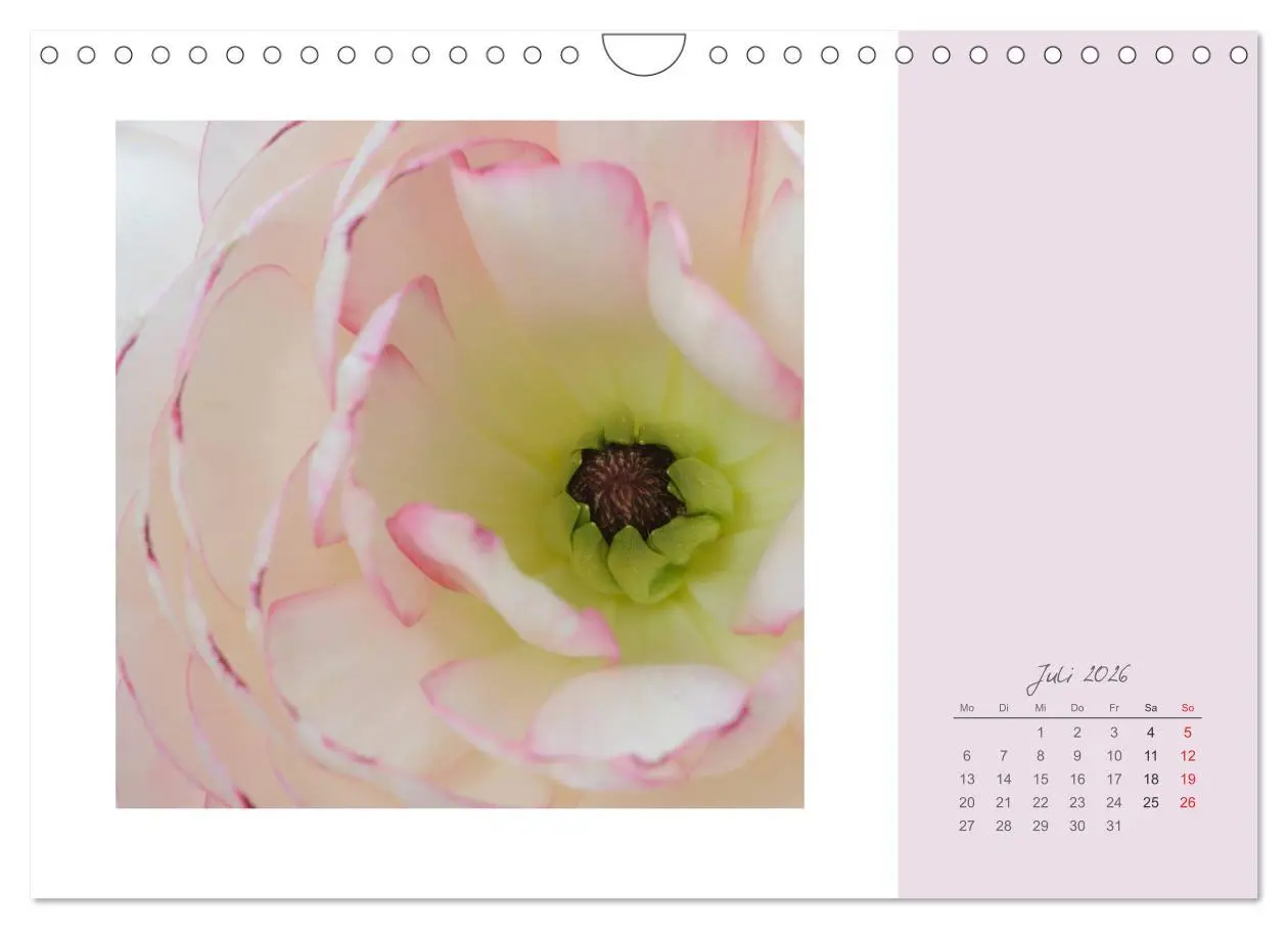 Bild: 9783516203349 | Blütenträume (Wandkalender 2026 DIN A4 quer), CALVENDO Monatskalender