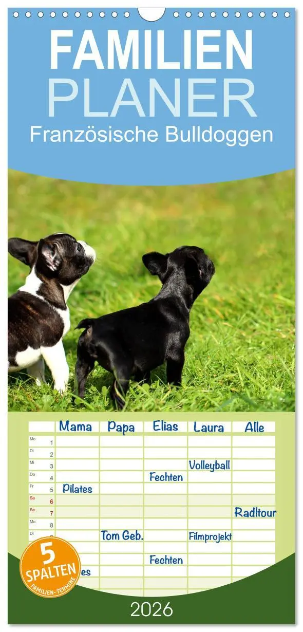 Cover: 9783516513349 | Familienplaner 2026 - Französische Bulldoggen mit 5 Spalten...