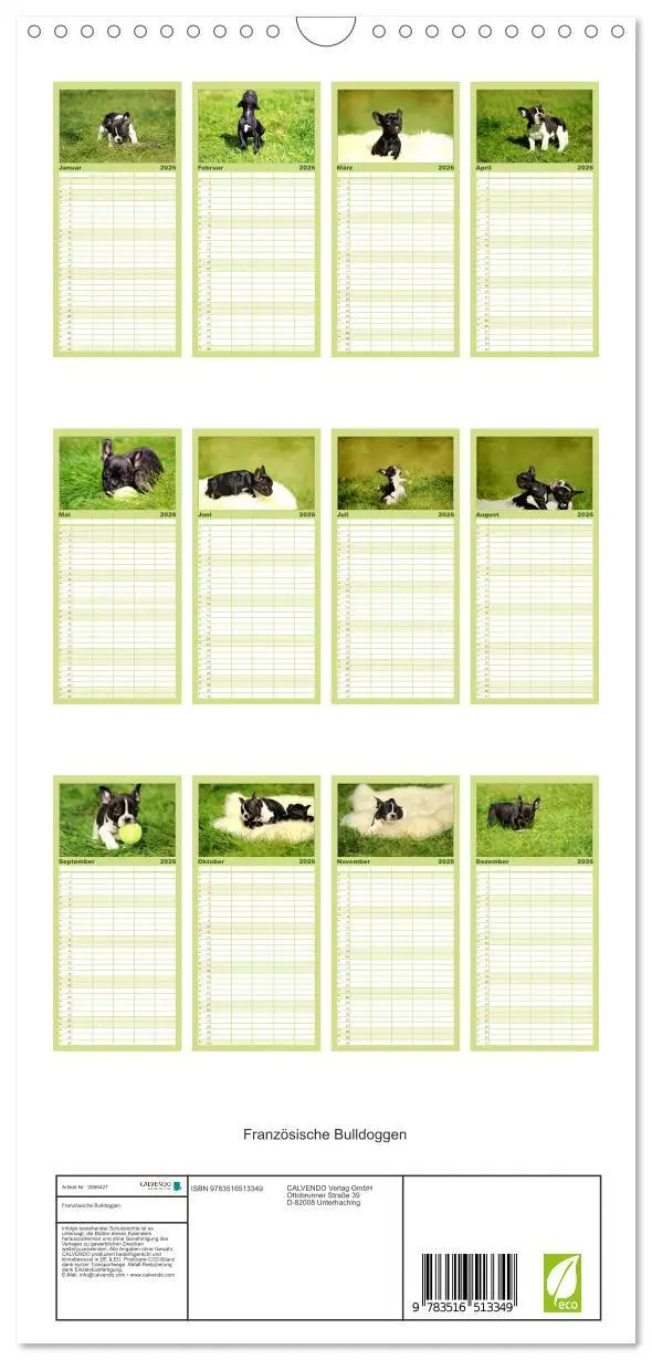 Bild: 9783516513349 | Familienplaner 2026 - Französische Bulldoggen mit 5 Spalten...