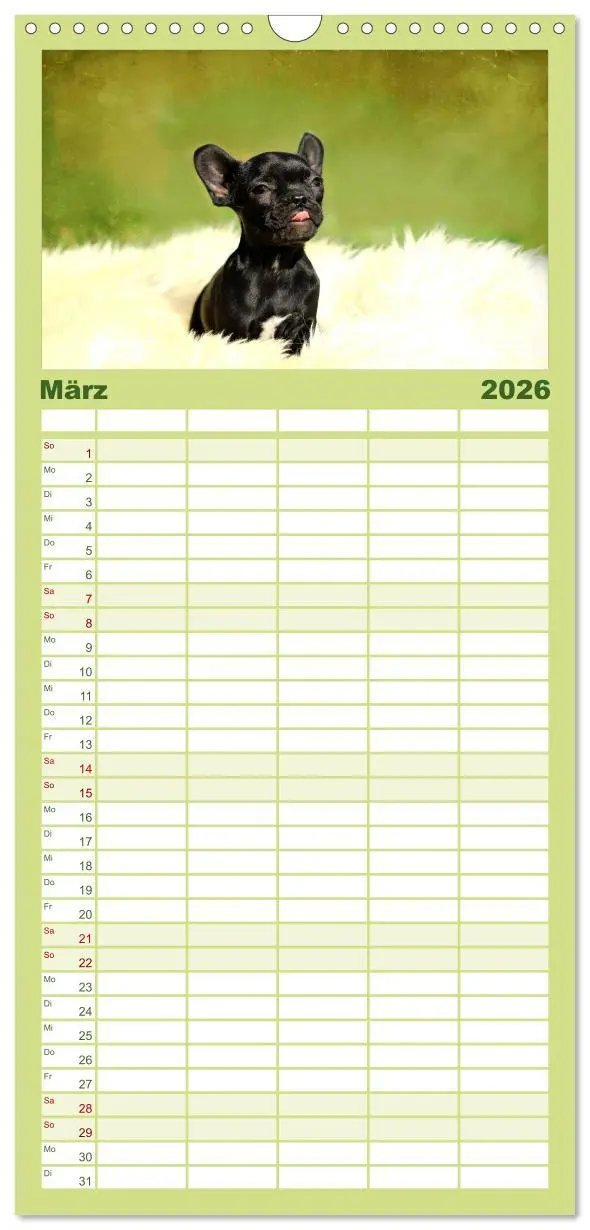 Bild: 9783516513349 | Familienplaner 2026 - Französische Bulldoggen mit 5 Spalten...