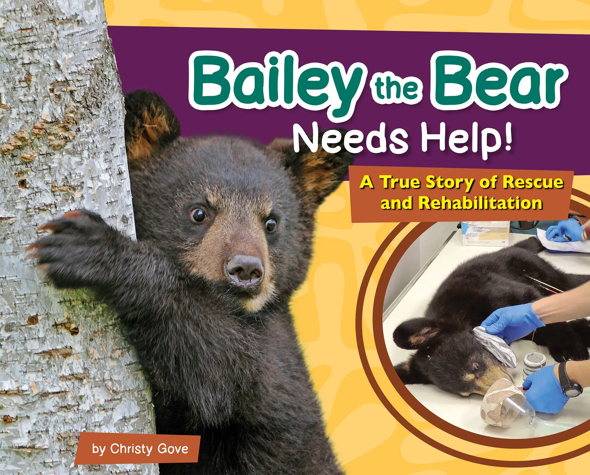 Cover: 9781647553449 | Bailey the Bear Needs Help! | Christy Gove | Buch | Gebunden | 2023