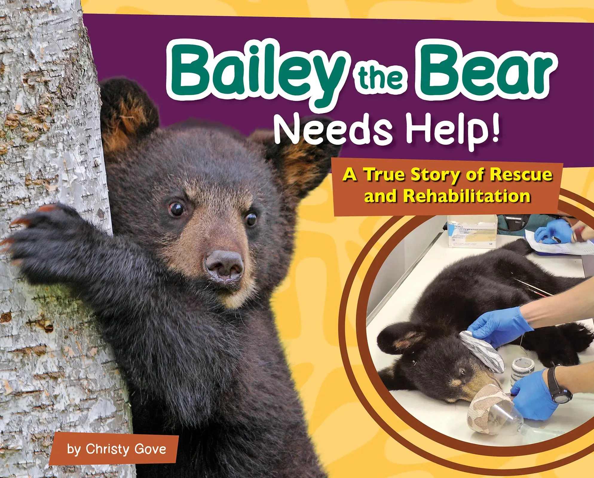 Bild: 9781647553449 | Bailey the Bear Needs Help! | Christy Gove | Buch | Gebunden | 2023