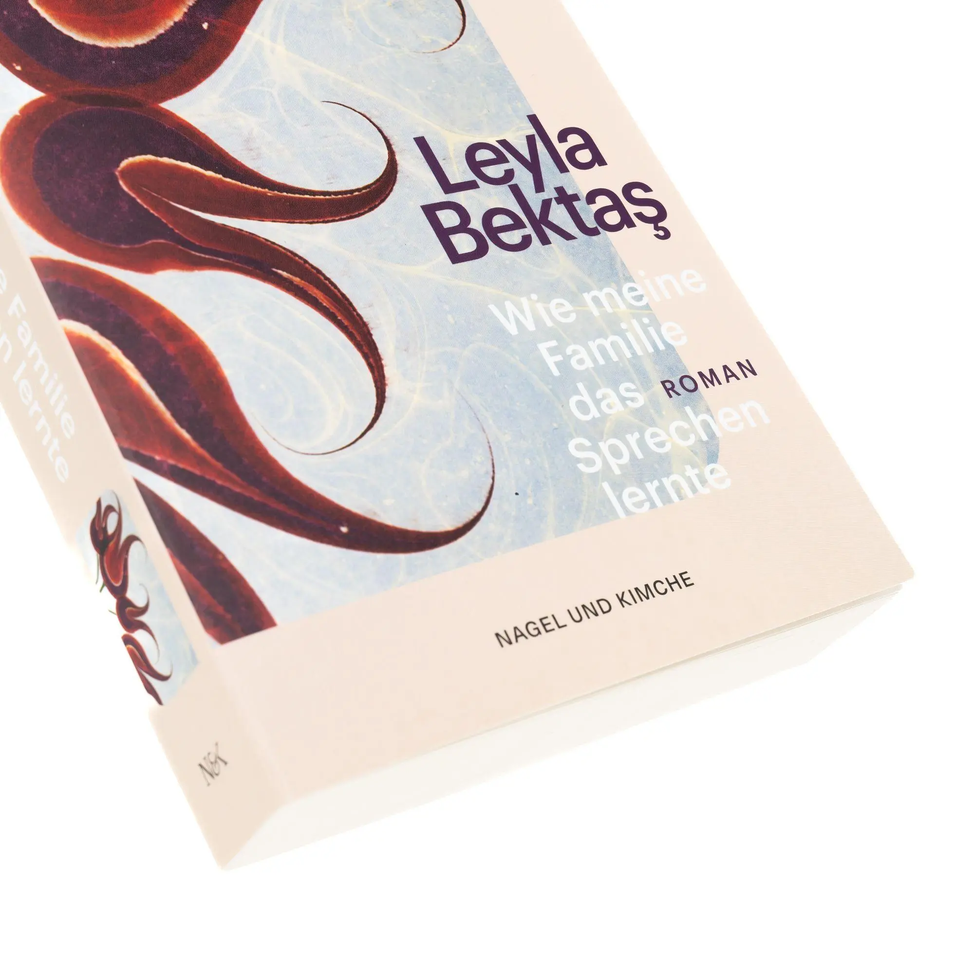 Bild: 9783312013449 | Wie meine Familie das Sprechen lernte | Leyla Bekta¿ | Taschenbuch