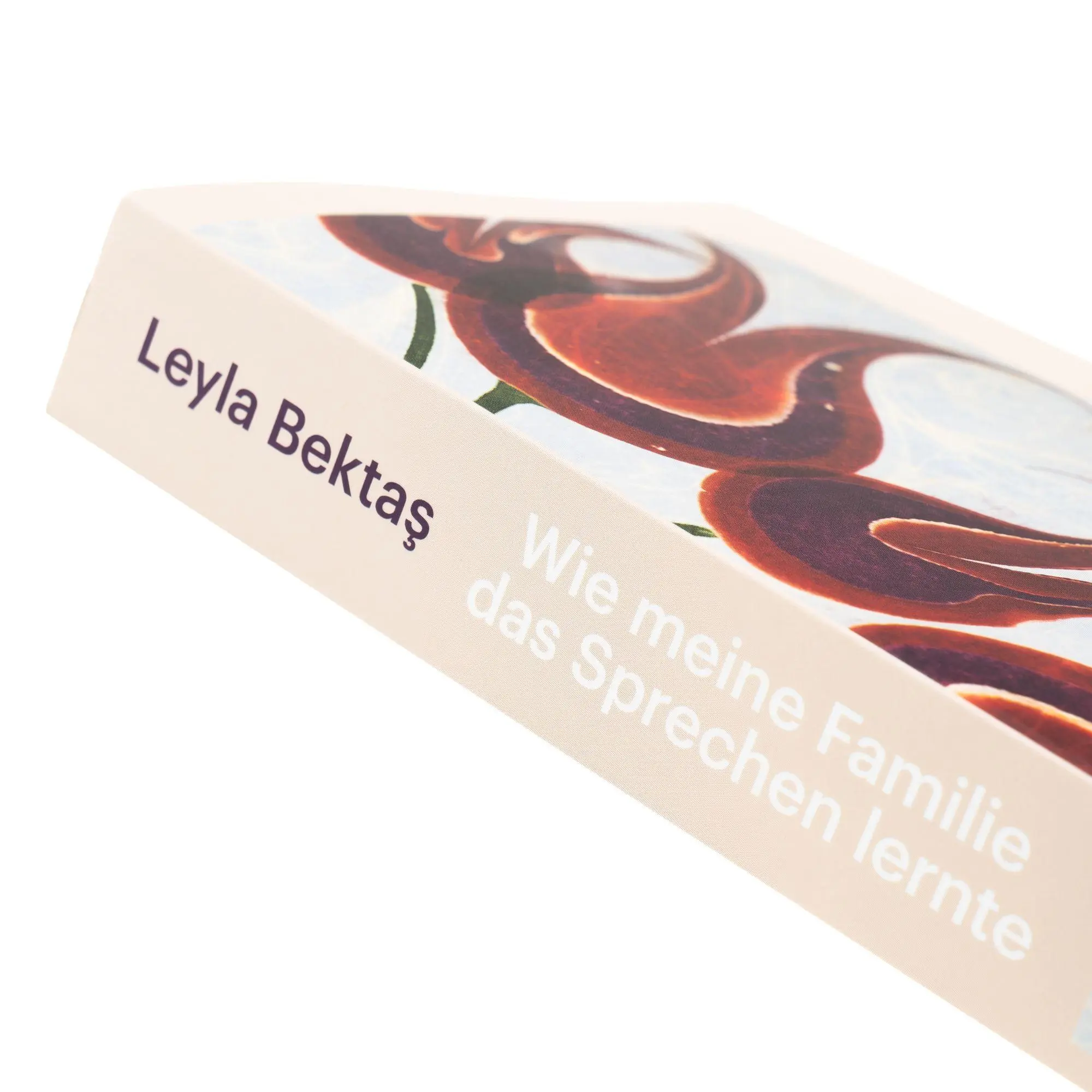 Bild: 9783312013449 | Wie meine Familie das Sprechen lernte | Leyla Bekta¿ | Taschenbuch