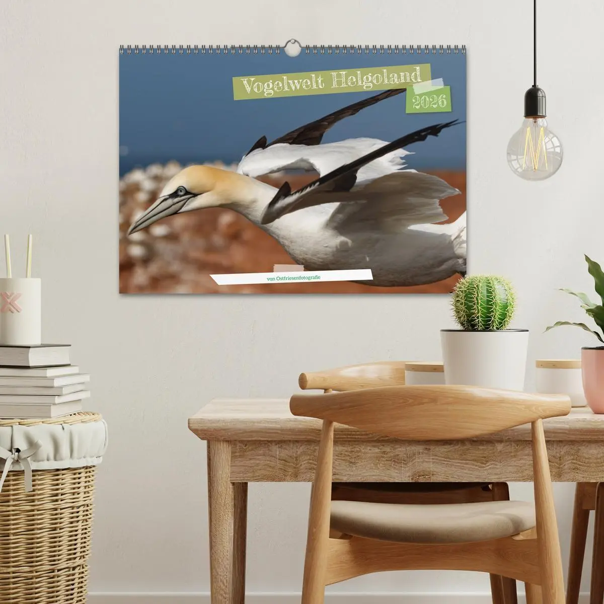 Bild: 9783457413449 | Vogelwelt Helgoland - von Ostfriesenfotografie (Wandkalender 2026...