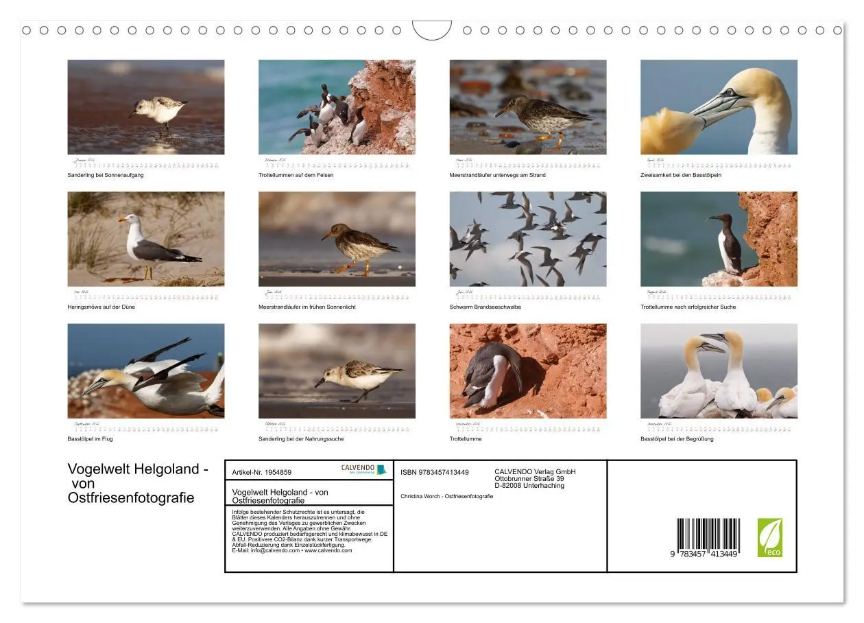 Bild: 9783457413449 | Vogelwelt Helgoland - von Ostfriesenfotografie (Wandkalender 2026...