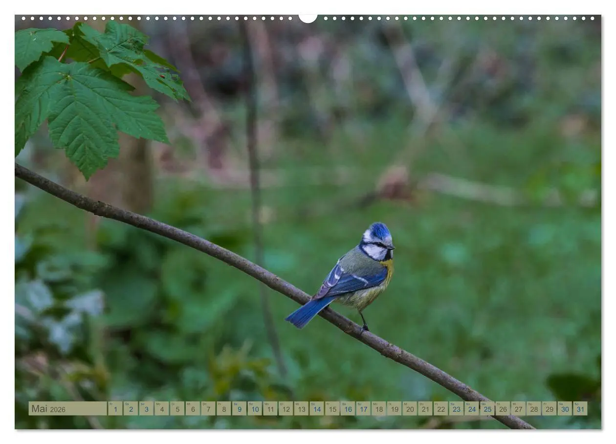 Bild: 9783457723449 | Woltersdorf bei Berlin (hochwertiger Premium Wandkalender 2026 DIN...