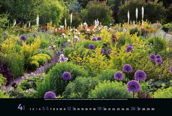 Bild: 9783731883449 | Magische Gärten 2026 | Verlag Korsch | Kalender | 14 S. | Deutsch