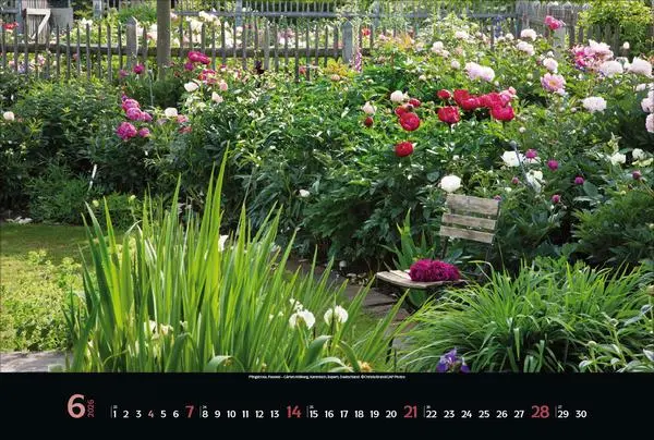Bild: 9783731883449 | Magische Gärten 2026 | Verlag Korsch | Kalender | 14 S. | Deutsch