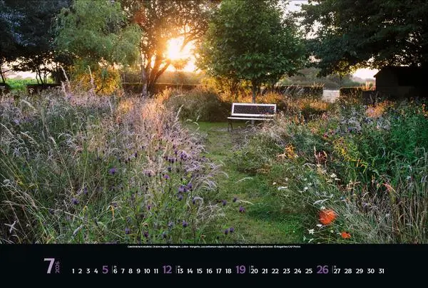 Bild: 9783731883449 | Magische Gärten 2026 | Verlag Korsch | Kalender | 14 S. | Deutsch