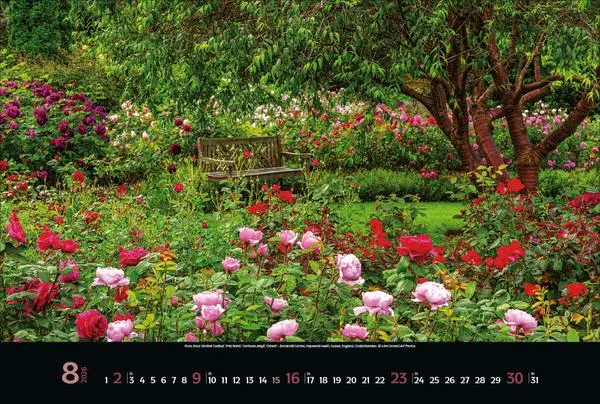 Bild: 9783731883449 | Magische Gärten 2026 | Verlag Korsch | Kalender | 14 S. | Deutsch