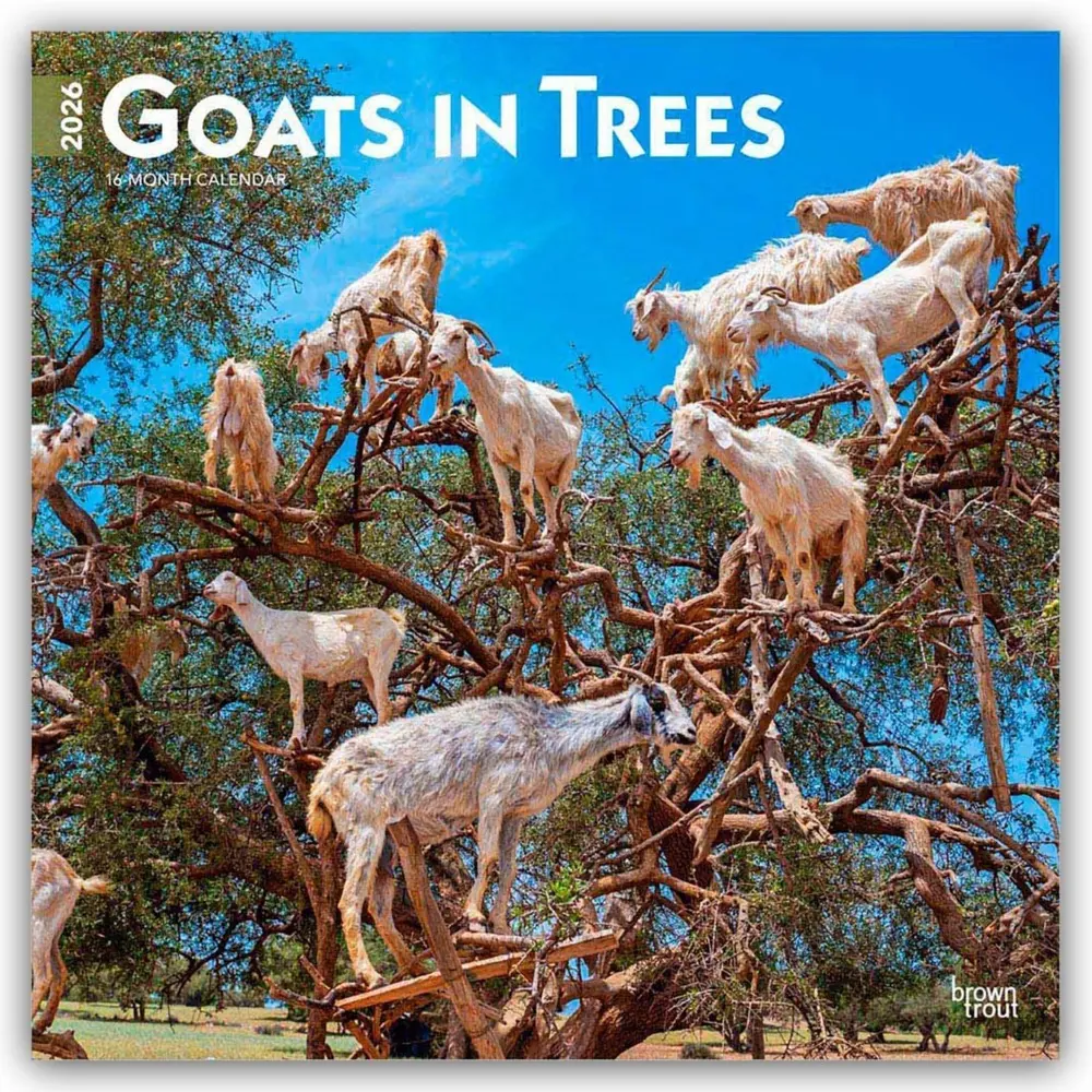 Cover: 9798330703449 | Goats in Trees 2026 12 X 24 Inch (Hanging) Monthly Square Wall...