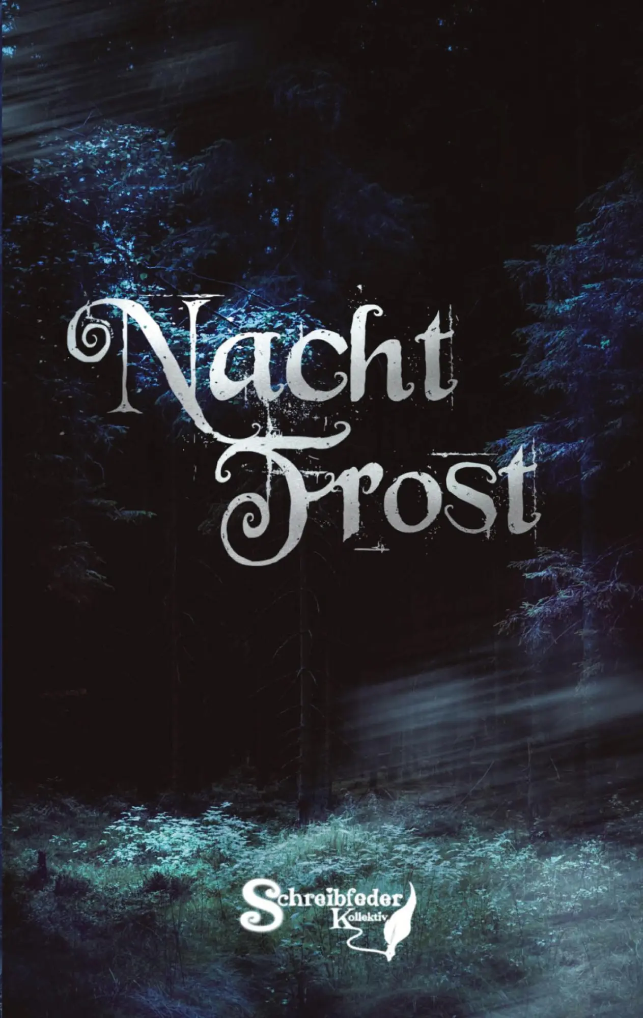 Cover: 9783384453549 | Nachtfrost | Eine kleine Winter-Anthologie | Schreibfeder | Buch