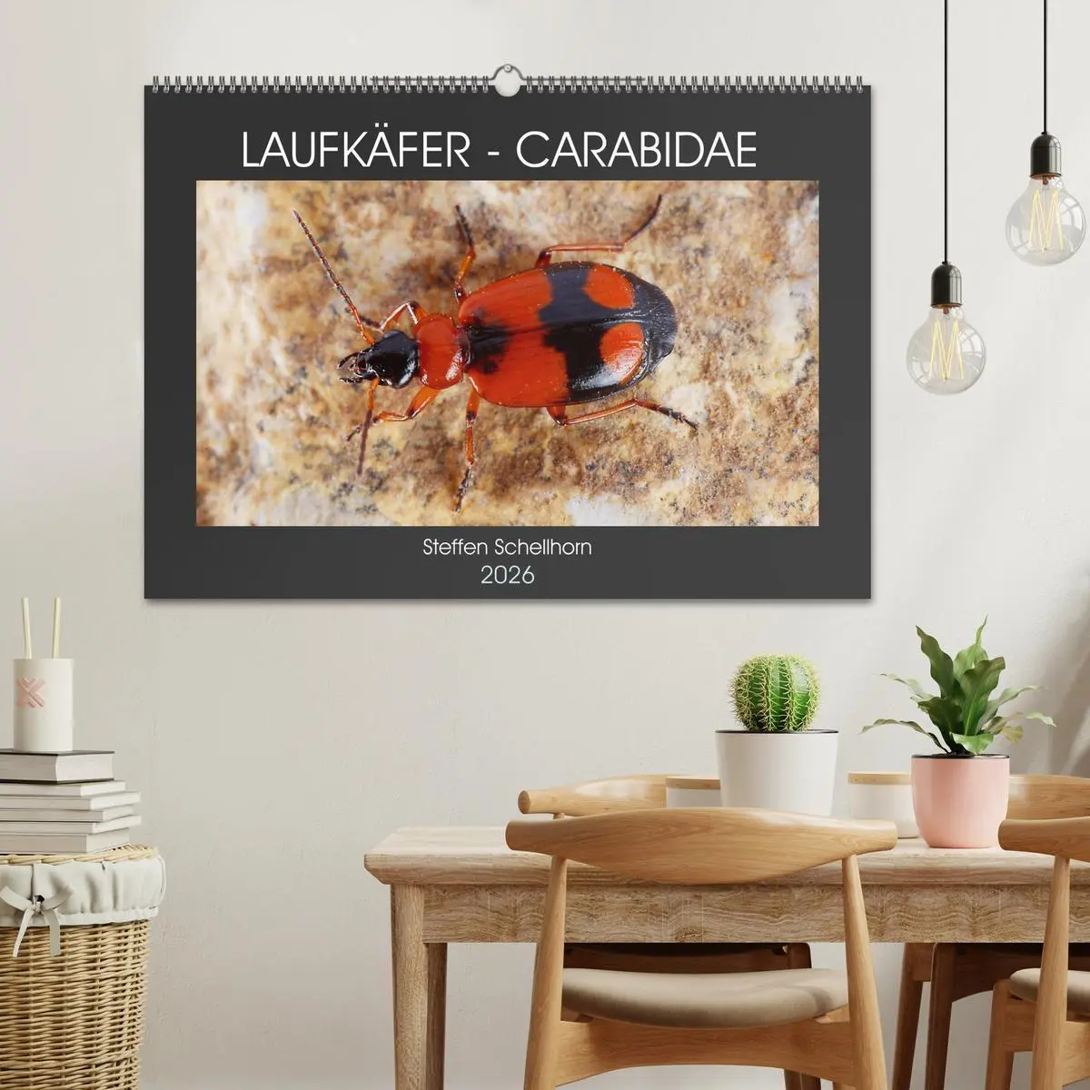 Bild: 9783457643549 | LAUFKÄFER - CARABIDAE (Wandkalender 2026 DIN A2 quer), CALVENDO...