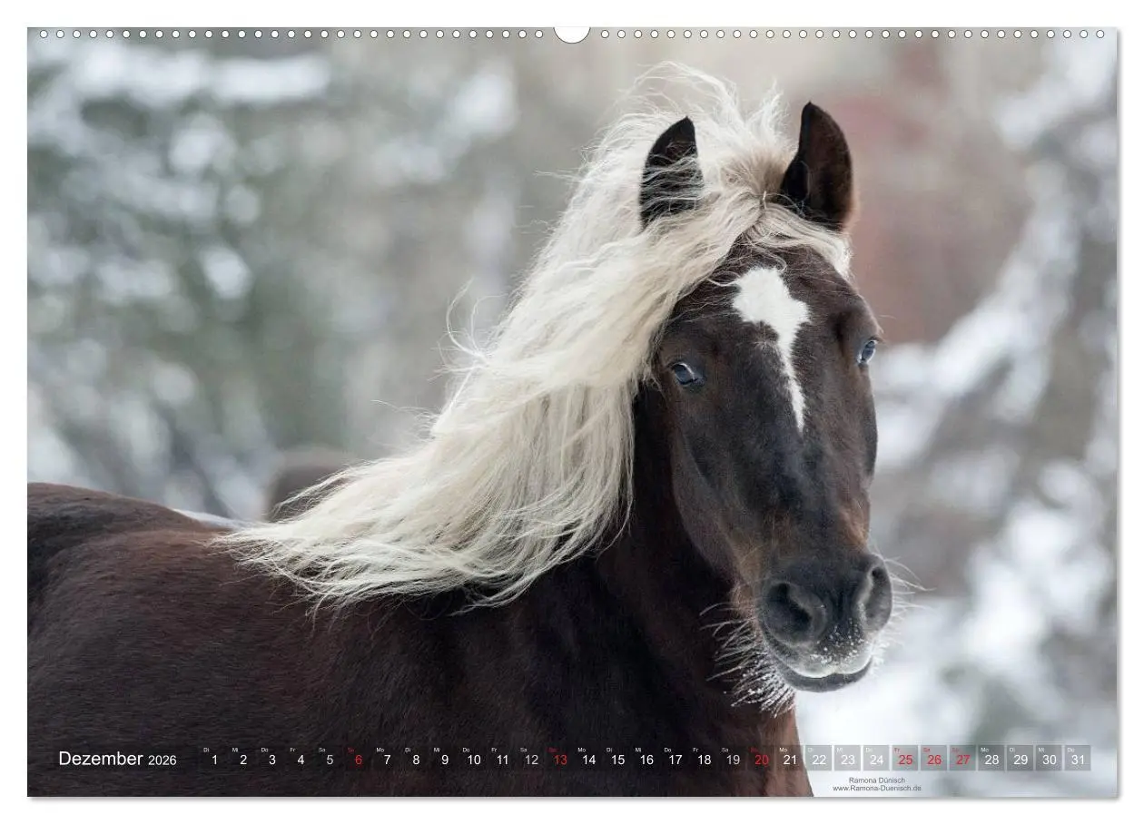 Bild: 9783516113549 | Faszination Kaltblut (hochwertiger Premium Wandkalender 2026 DIN A2...