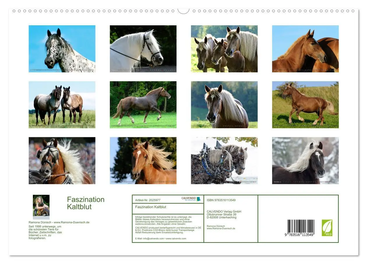 Bild: 9783516113549 | Faszination Kaltblut (hochwertiger Premium Wandkalender 2026 DIN A2...