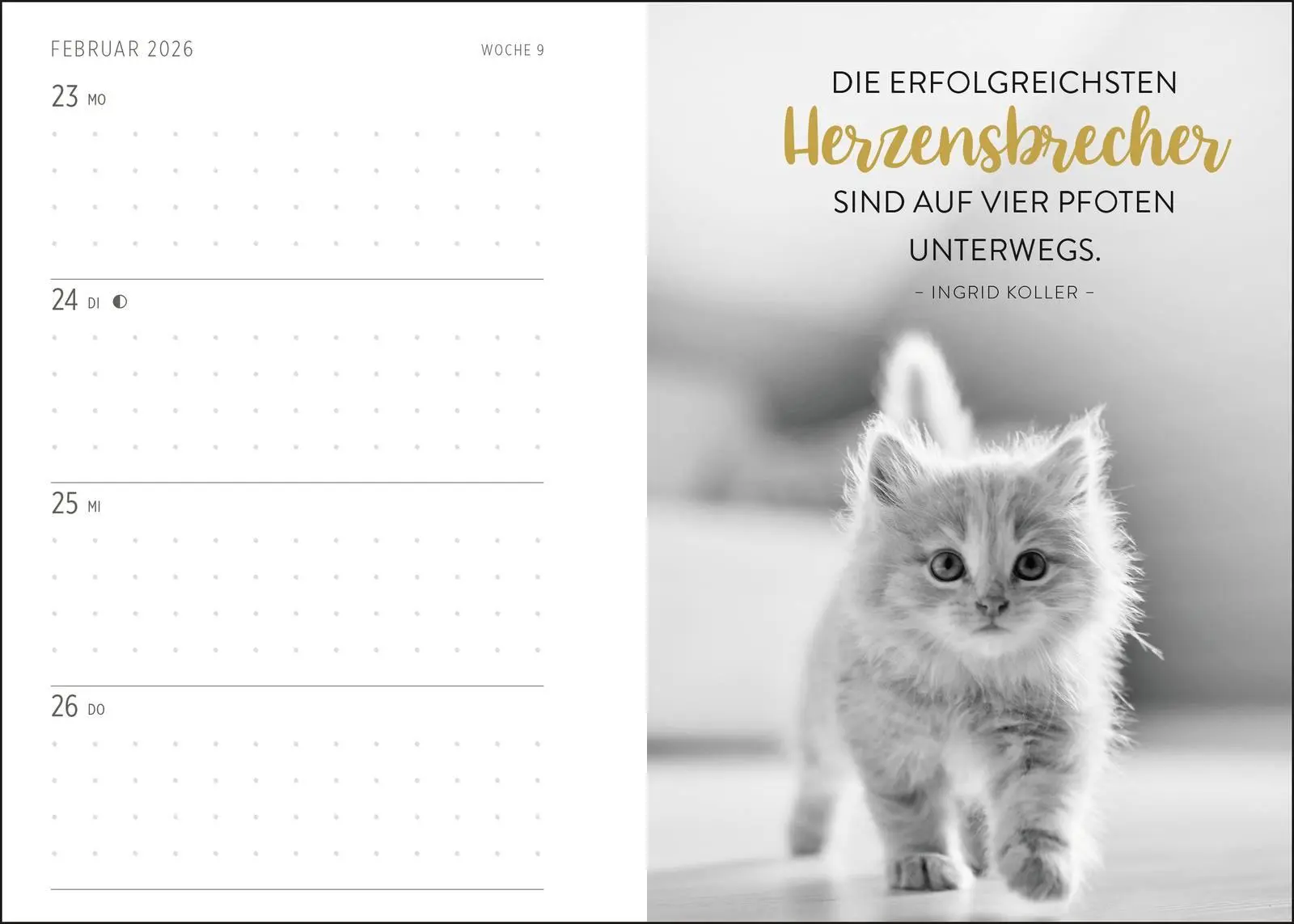 Bild: 4036442013649 | Buchkalender 2026: Für Katzenfreunde | Groh Verlag | Kalender | 144 S.