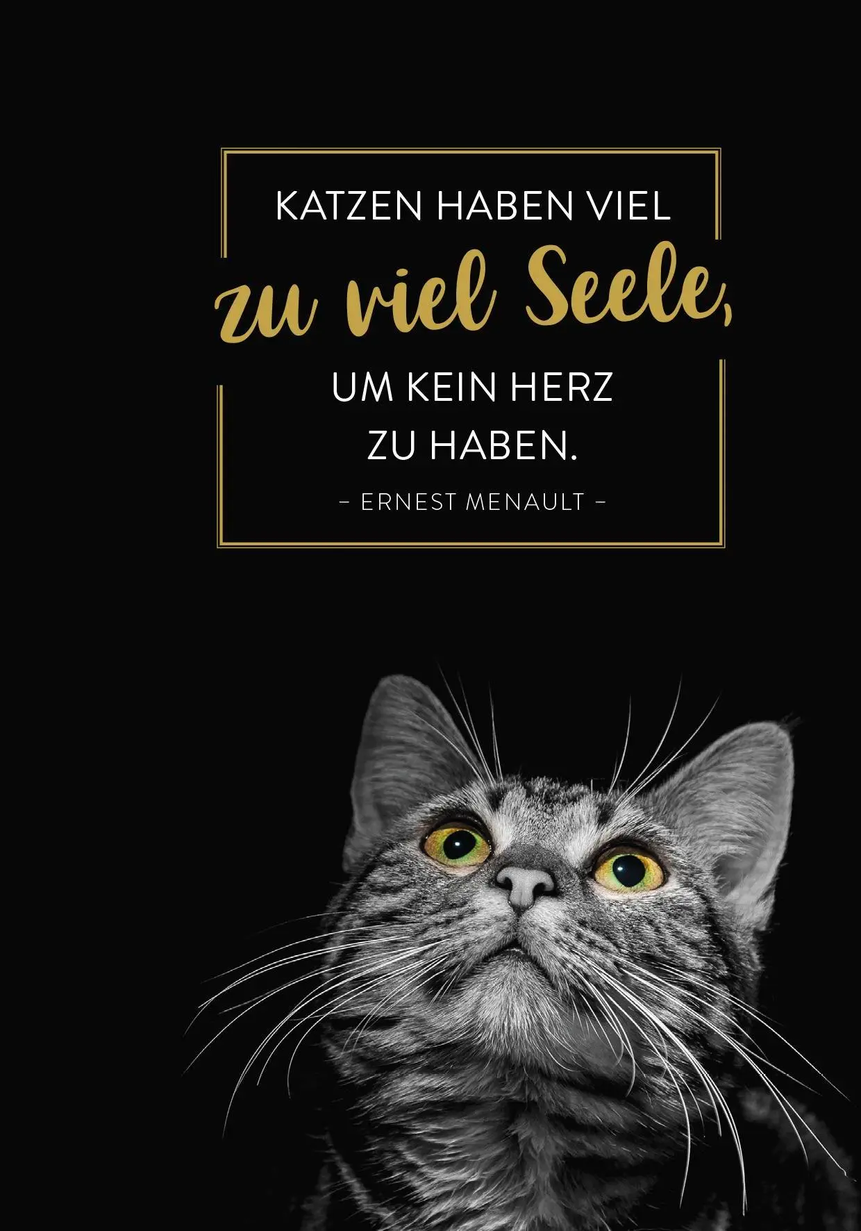 Bild: 4036442013649 | Buchkalender 2026: Für Katzenfreunde | Groh Verlag | Kalender | 144 S.