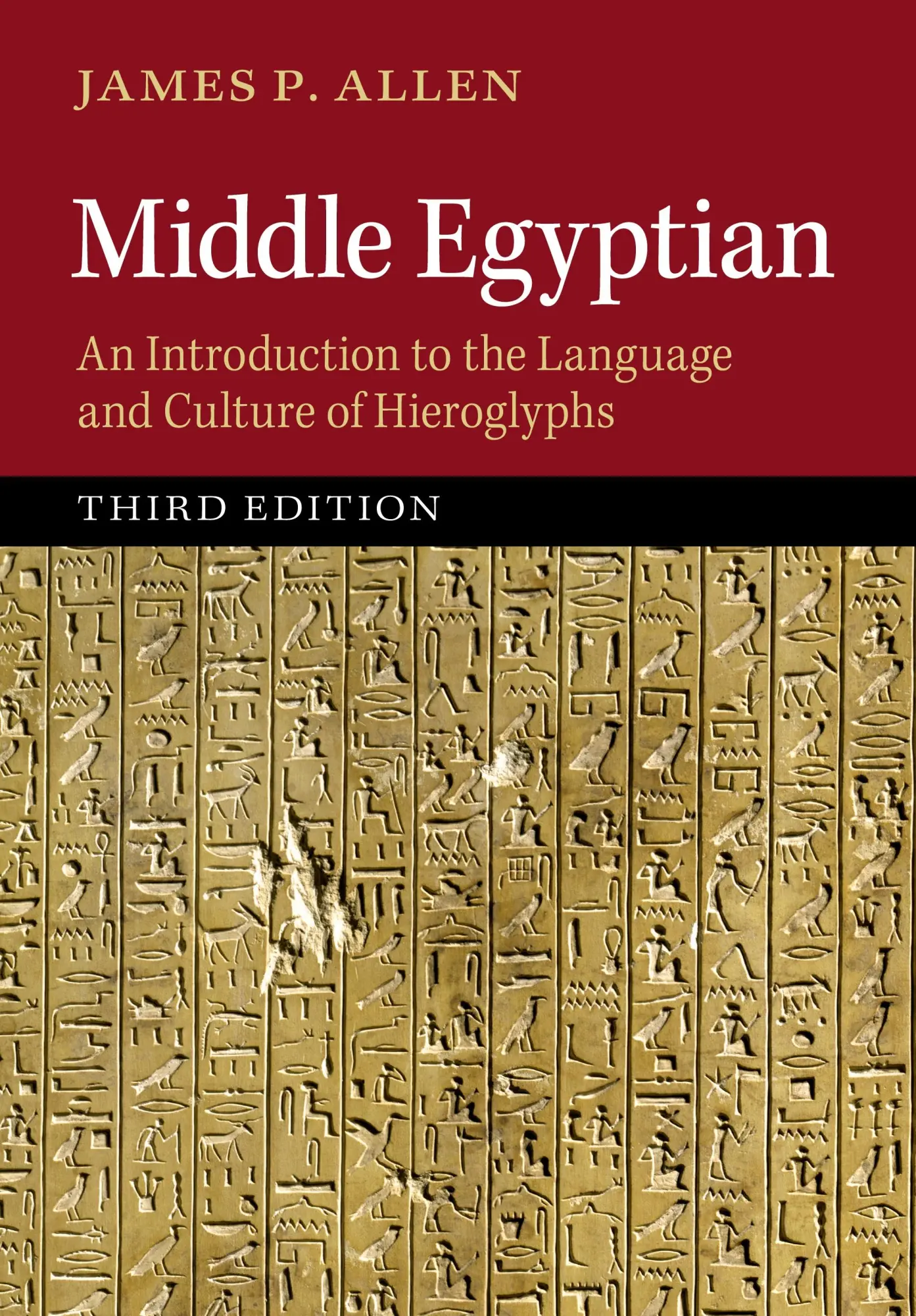 Cover: 9781107053649 | Middle Egyptian | James Allen | Buch | Englisch | 2014