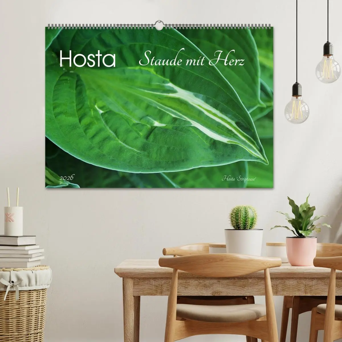 Bild: 9783516033649 | Hosta Staude mit Herz (Wandkalender 2026 DIN A2 quer), CALVENDO...