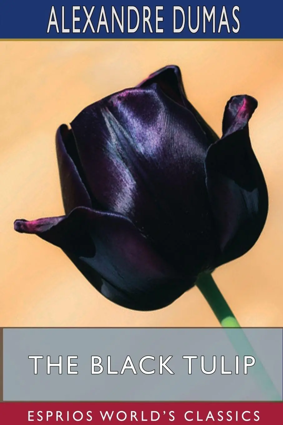 Cover: 9781034163749 | The Black Tulip (Esprios Classics) | Alexandre Dumas | Taschenbuch