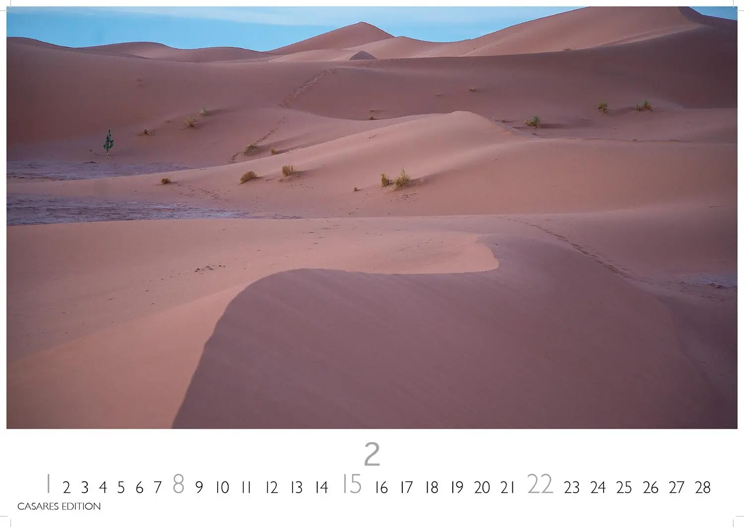 Bild: 9781835243749 | Sahara Kalender 2026 - Wandkalender Fotokalender Afrika 35x50 cm -...