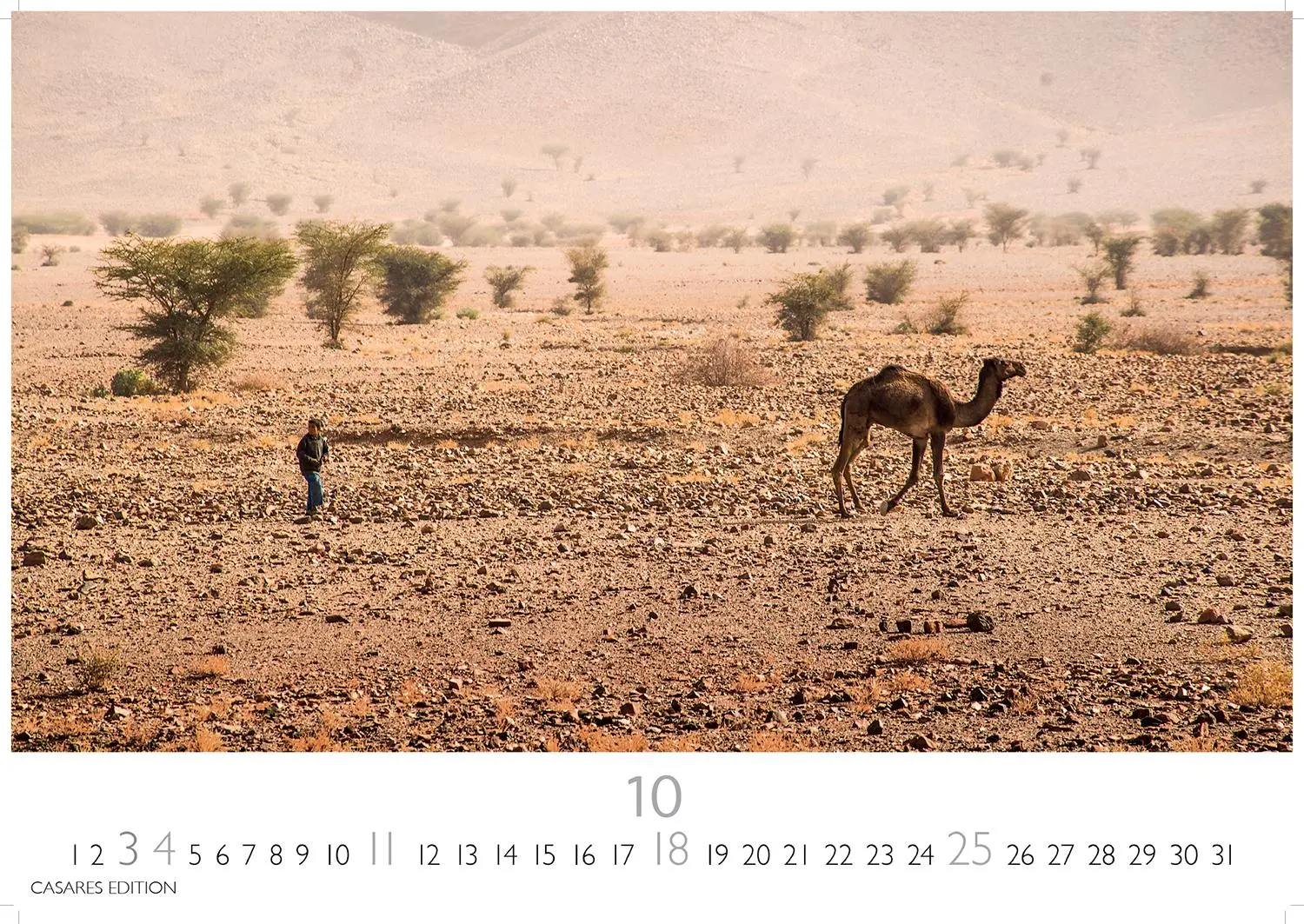 Bild: 9781835243749 | Sahara Kalender 2026 - Wandkalender Fotokalender Afrika 35x50 cm -...