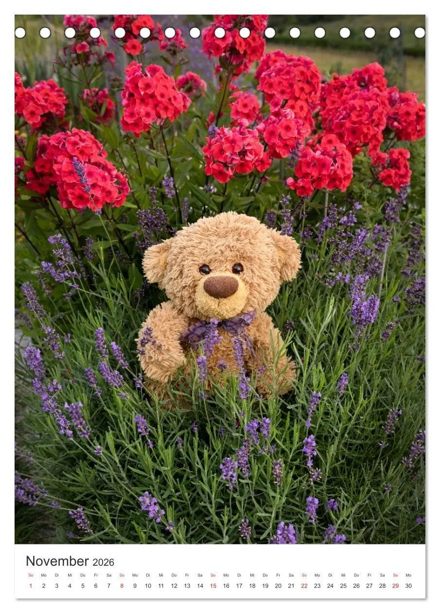 Bild: 9783516713749 | Travelling Teddy liebt Blumen und Blüten (Tischkalender 2026 DIN A5...