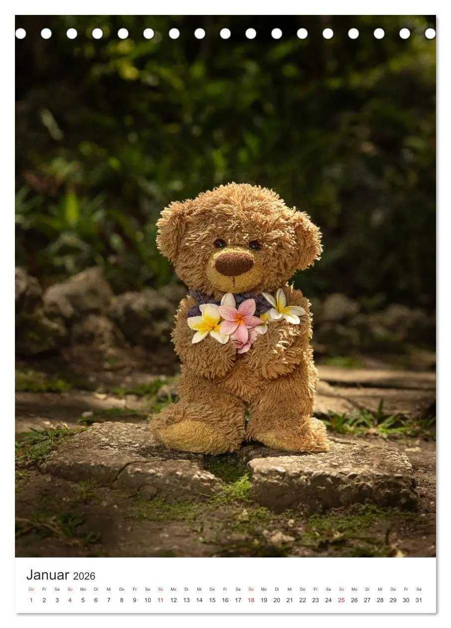 Bild: 9783516713749 | Travelling Teddy liebt Blumen und Blüten (Tischkalender 2026 DIN A5...