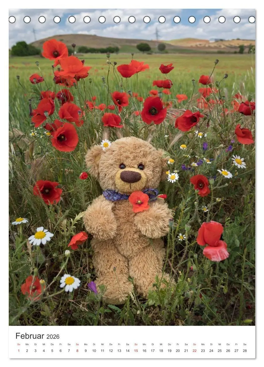 Bild: 9783516713749 | Travelling Teddy liebt Blumen und Blüten (Tischkalender 2026 DIN A5...